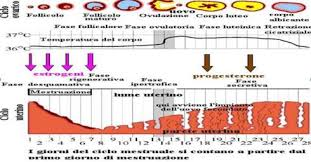 ciclo mestruale anticipato dopo rapporto