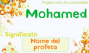 Catalogo abiti da cerimonia Elisabetta Franchi