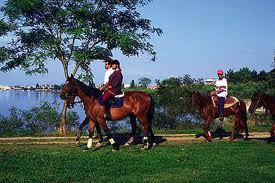 Come andare a cavallo