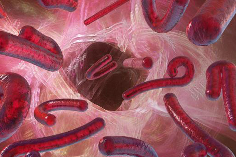 Come avviene contagio virus ebola