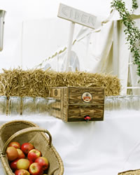 Idee per un matrimonio a tema