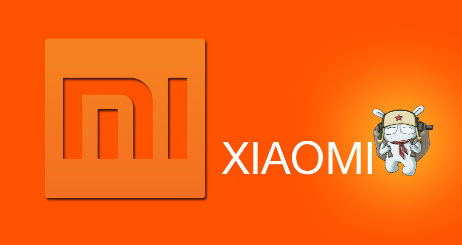 Che cos’è la Xiaomi?