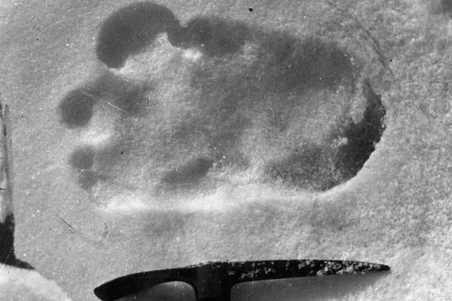 Lo Yeti tra leggenda e realtà