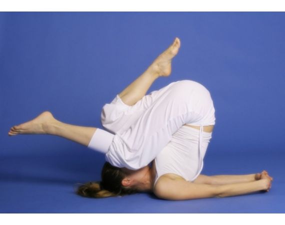Le scuole di yoga online