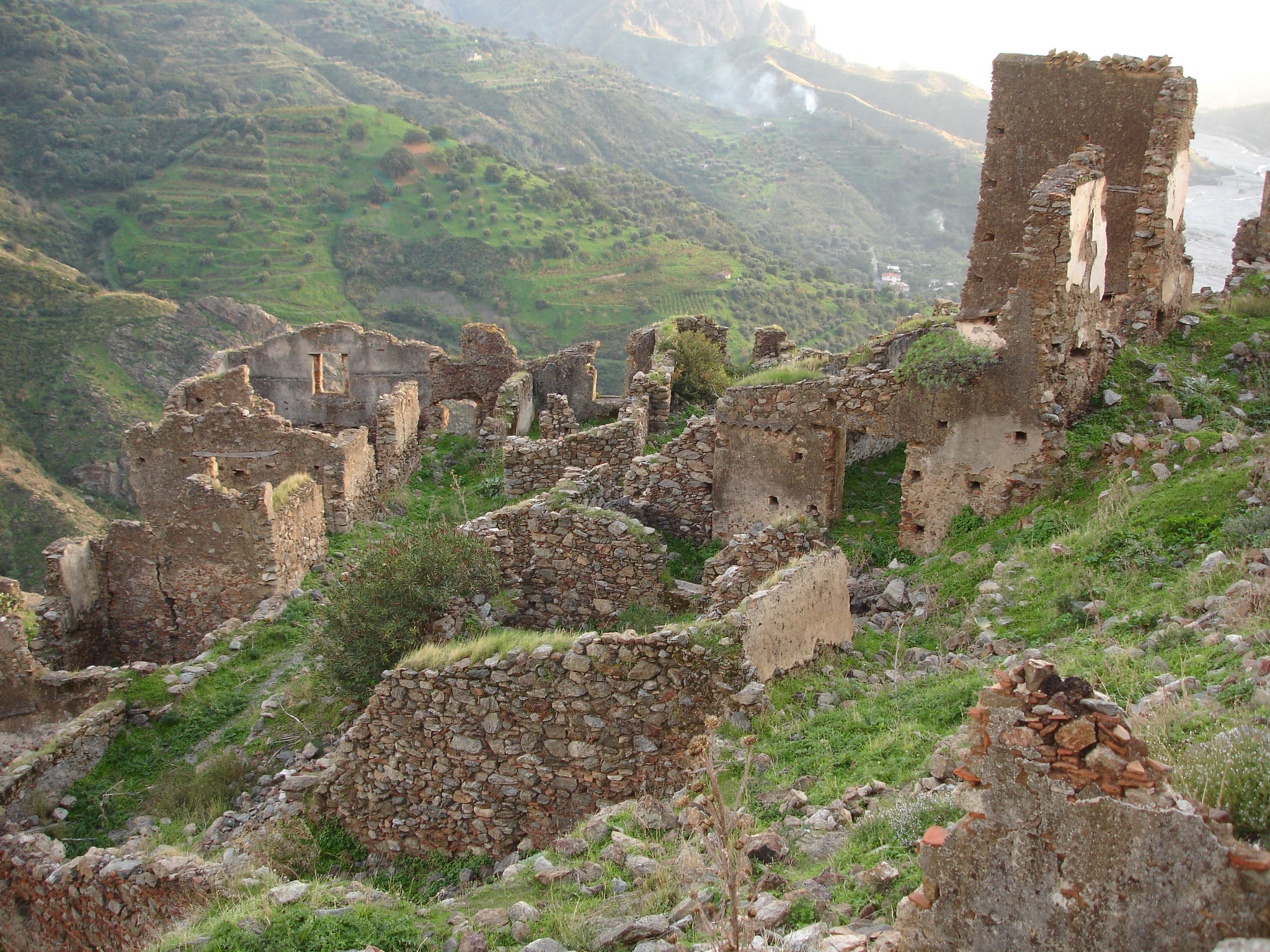 AMENDOLEA VECCHIA