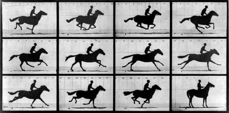 Eadweard-Muybridge-galloping-Horse-11
