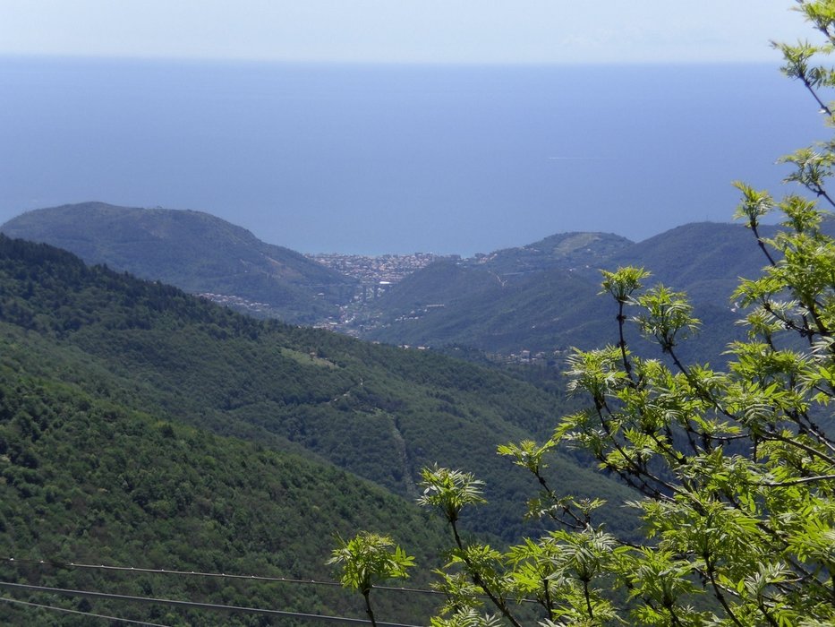 liguria