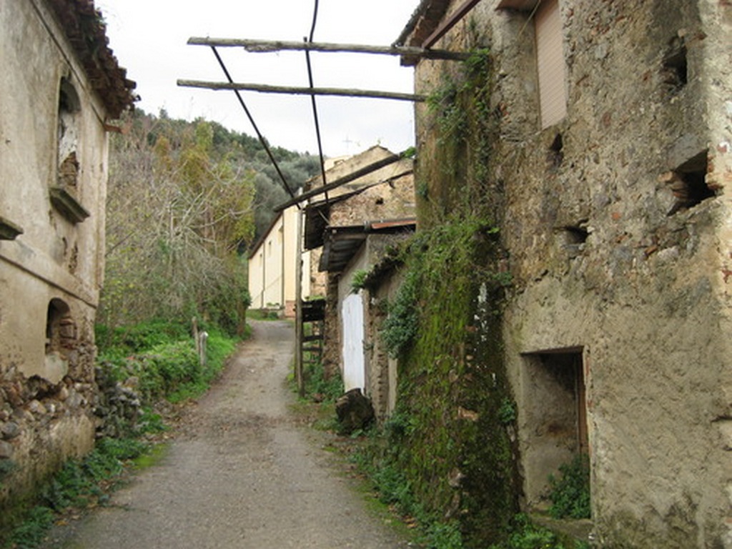 nicastrello