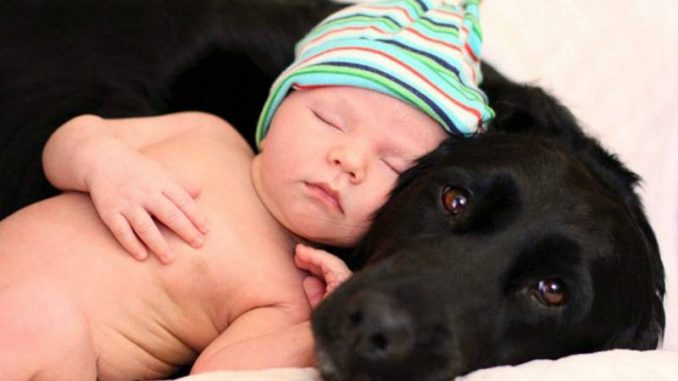 CANE E BAMBINO CANE E BAMBINO