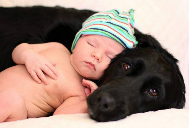 CANE E BAMBINO CANE E BAMBINO