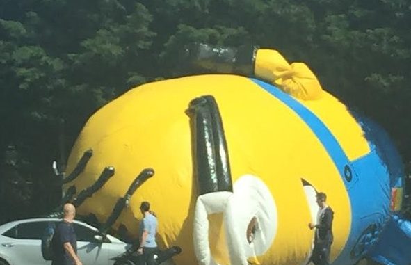Il Minion che ha invaso la periferia Nord di Dublino Il Minion che ha invaso la periferia Nord di Dublino