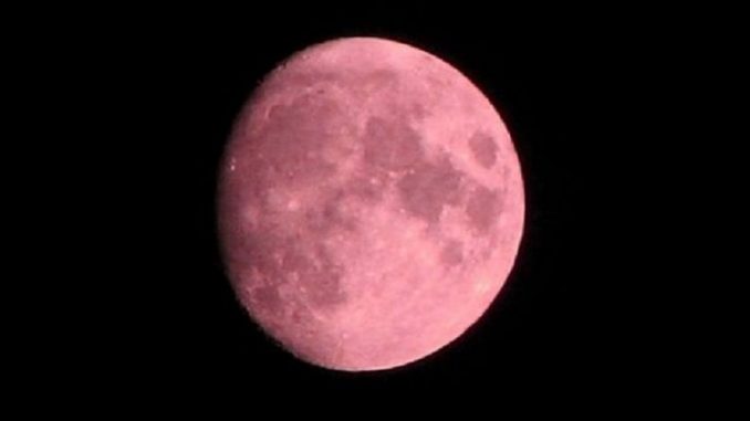 LUNA DI FRAGOLA LUNA DI FRAGOLA