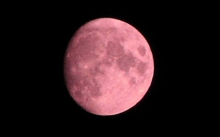 LUNA DI FRAGOLA LUNA DI FRAGOLA