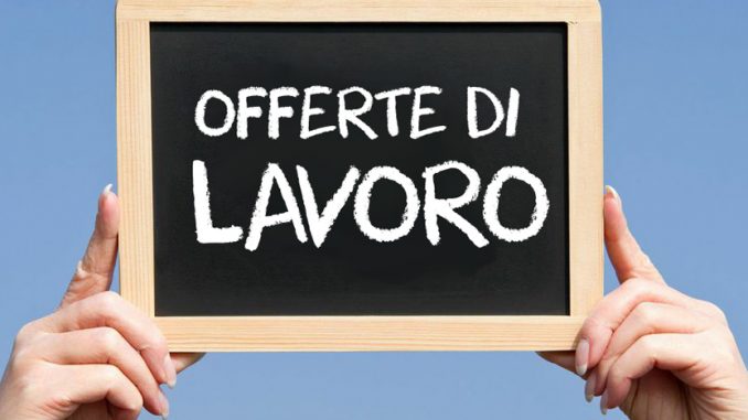 OFFERTE DI LAVORO