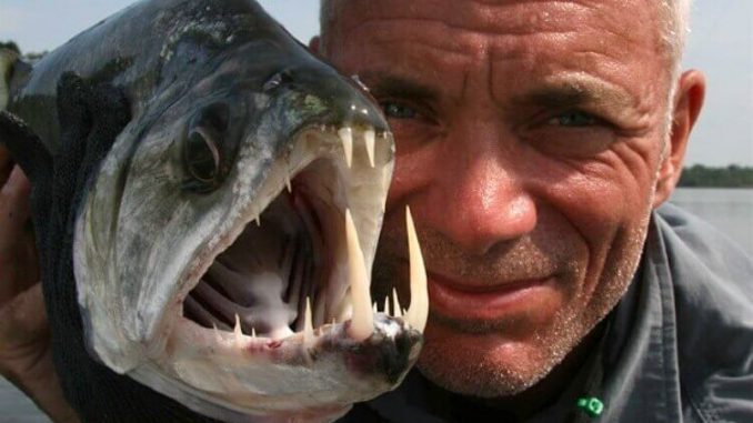 Pesce-Vampiro