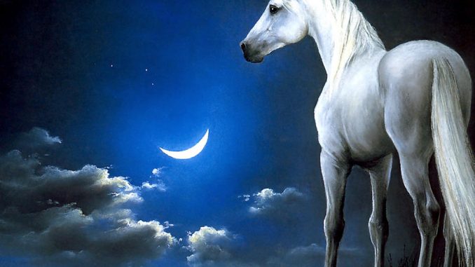 Unicorno