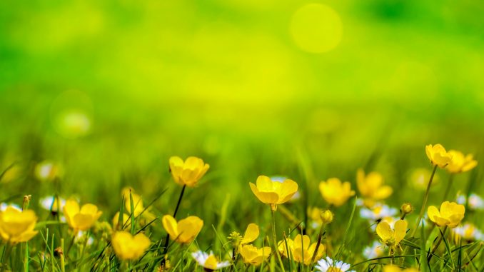 acufene rimedi naturali acufene rimedi naturali
