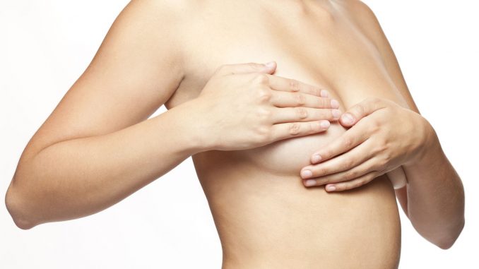 cancro seno cancro a seno e ovaie