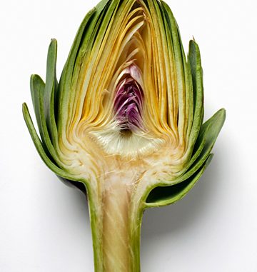 carciofi crudi mangiare carciofi crudi mangiare