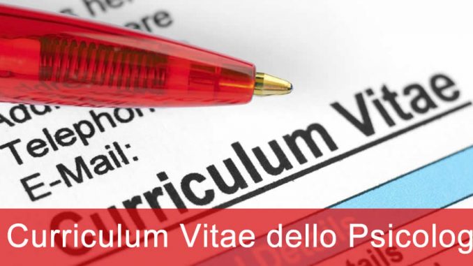 curriculum vitae curriculum vitae