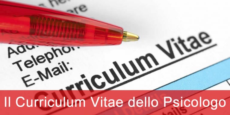 curriculum vitae curriculum vitae