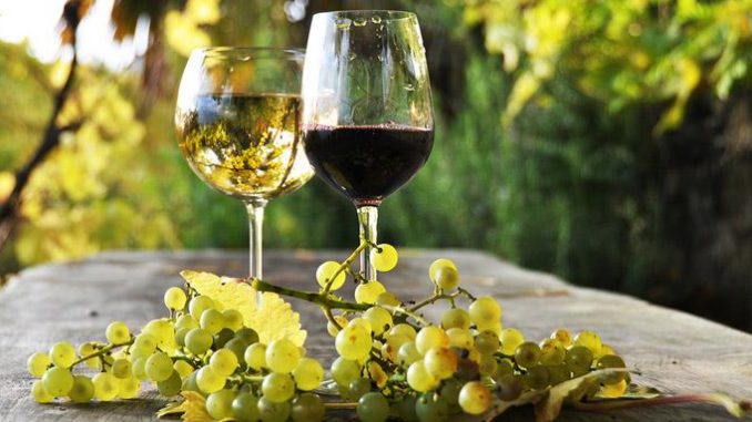 vino_italiano