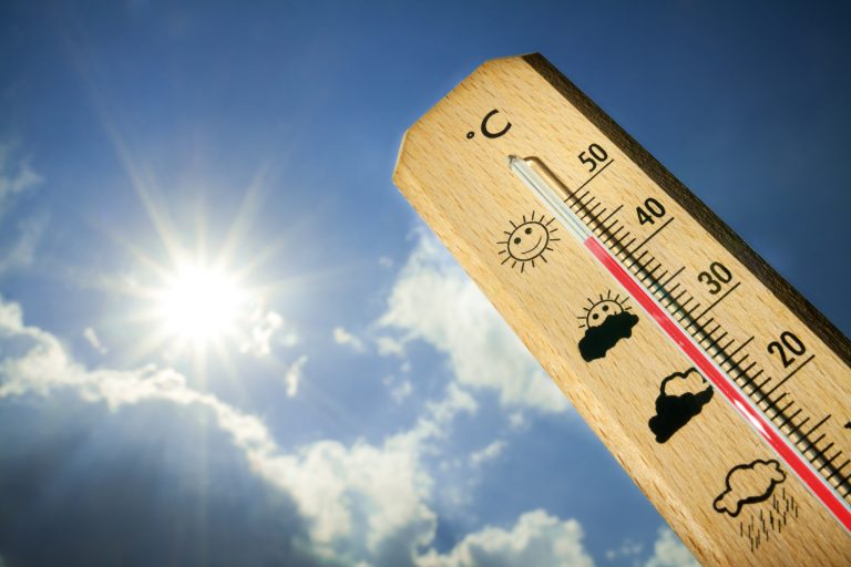 caldo africano