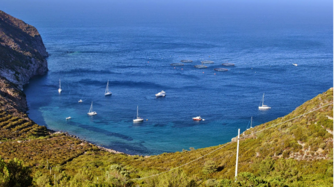 isola di capraia isola di capraia