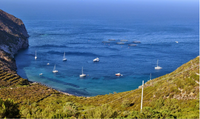 isola di capraia isola di capraia