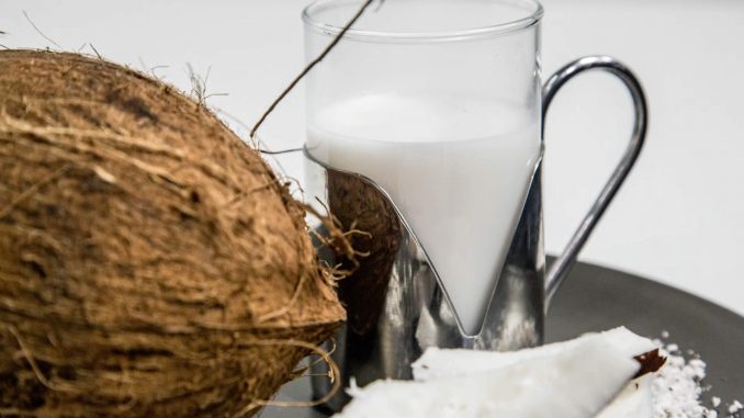 Dove si compra latte di cocco alimentare Dove si compra latte di cocco alimentare