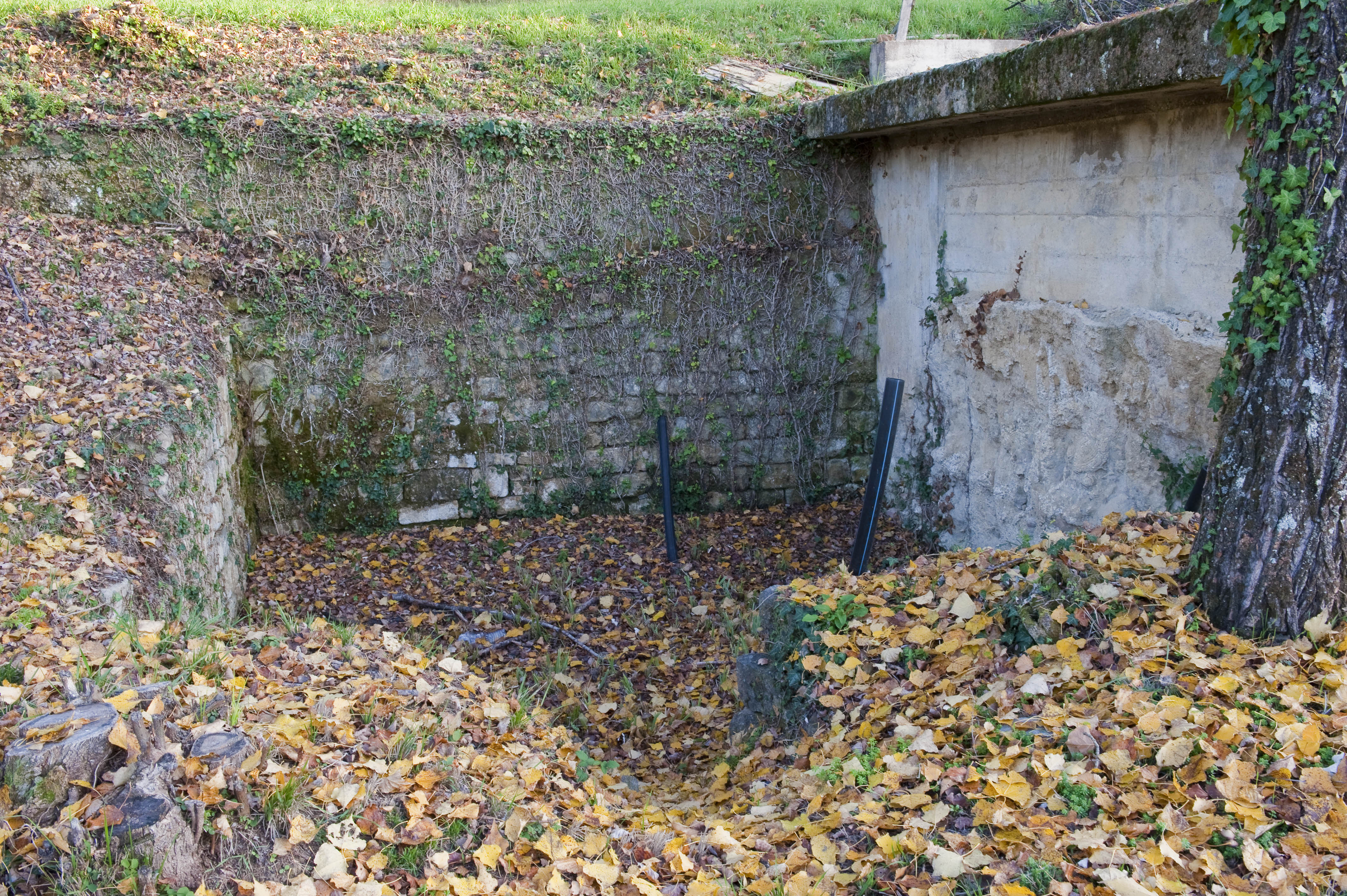 semifonte