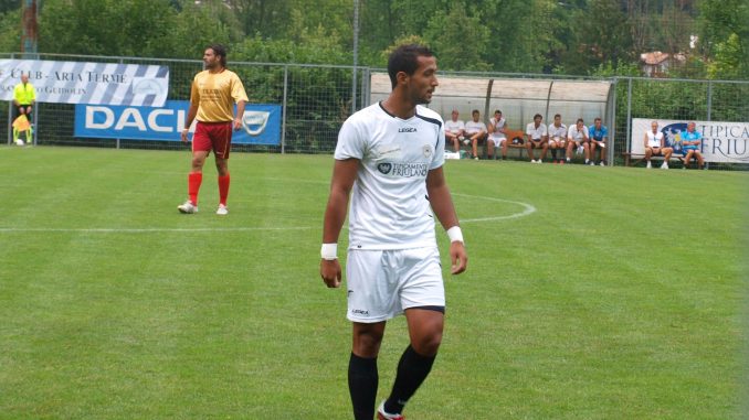 Benatia benatia