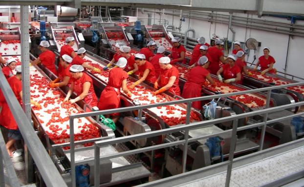 Puglia: 1000 posti di lavoro Puglia: 1000 posti di lavoro