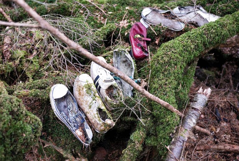 foresta dei corpi