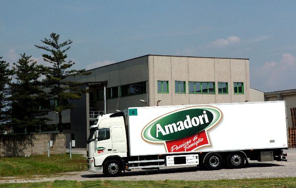 DITTA AMADORI