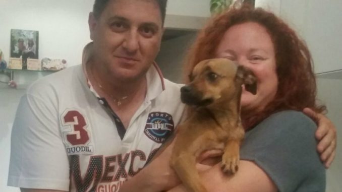 cagnolina cagnolina