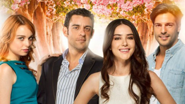 Anticipazioni Cherry Season 1-5 agosto 2016 Anticipazioni Cherry Season 1-5 agosto 2016