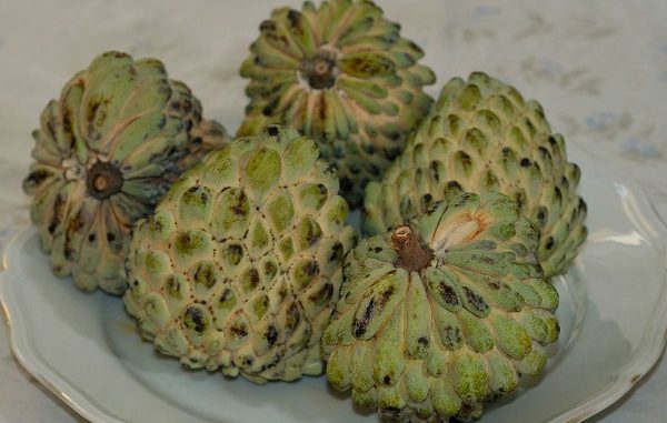 Guanabana Guanabana
