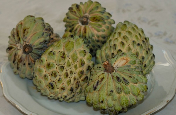 Guanabana Guanabana