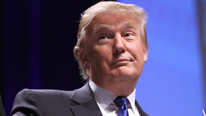 USA, mostra provocazione Donald Trump USA, mostra provocazione Donald Trump