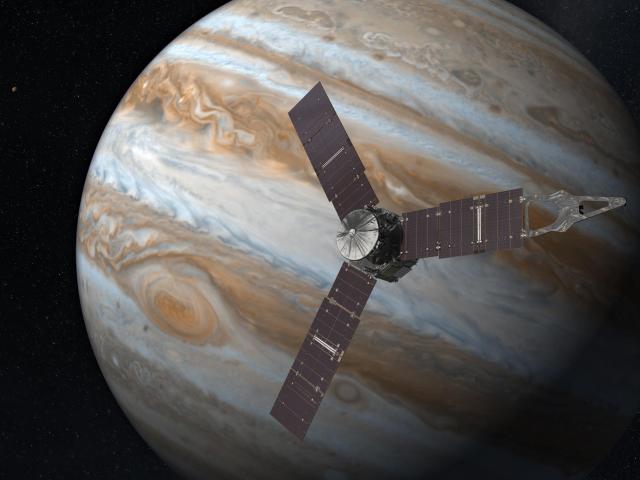 juno juno