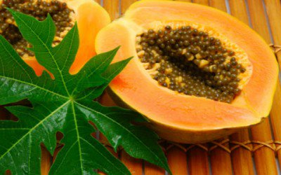 Papaya fermentata: benefici, proprietà e controindicazioni Papaya fermentata: benefici, proprietà e controindicazioni