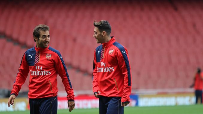 Flamini Flamini