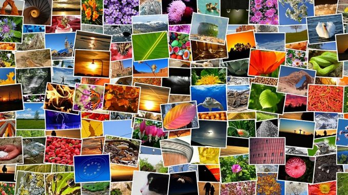 Programmi gratis online per collage foto Programmi gratis online per collage foto