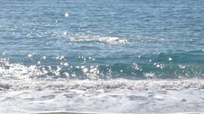 Una signora di 104 anni vede il mare per la prima volta Una signora di 104 anni vede il mare per la prima volta