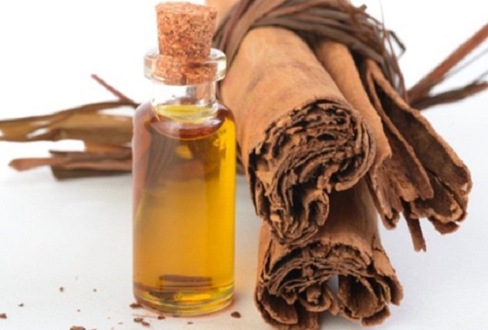 Cicatrici: rimedi naturali per renderle meno visibili Cicatrici: rimedi naturali per renderle meno visibili