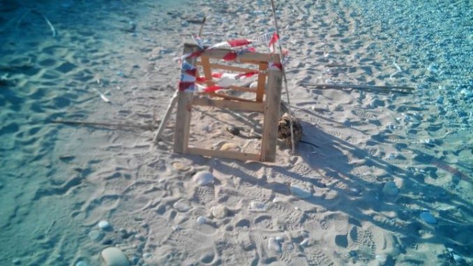 bomba a mano in spiaggia