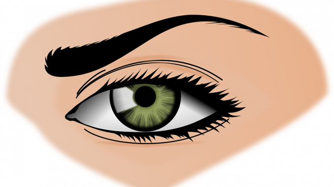 iris-154659_960_720