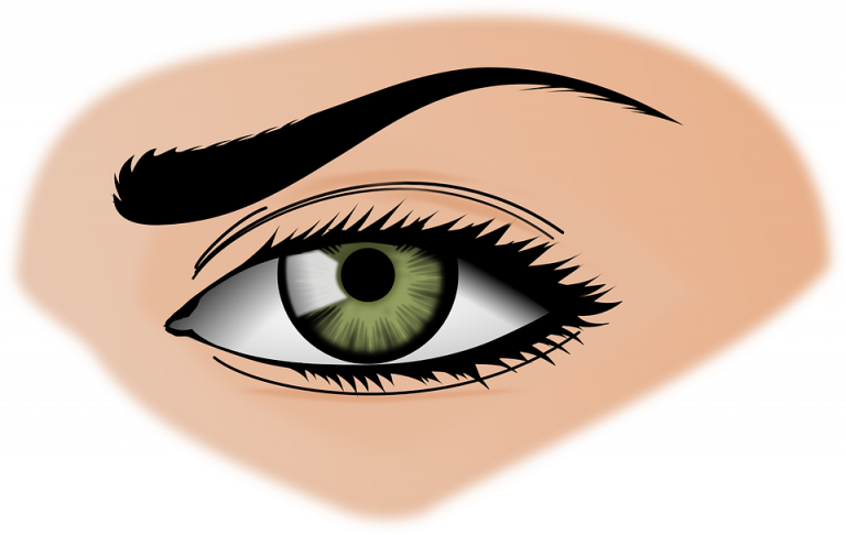 iris-154659_960_720