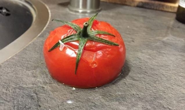 pomodoro congelato2